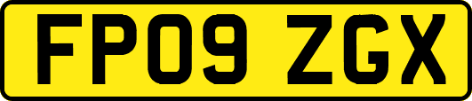 FP09ZGX