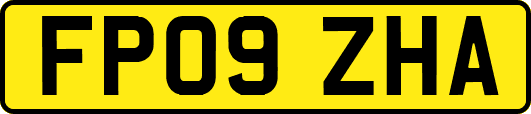 FP09ZHA