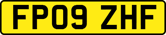 FP09ZHF