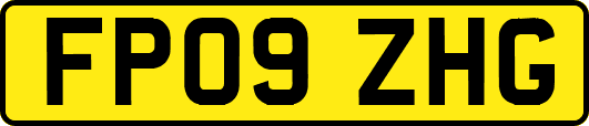 FP09ZHG