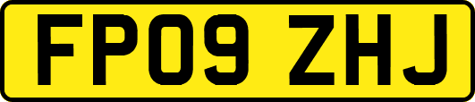 FP09ZHJ
