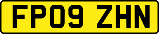 FP09ZHN