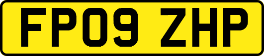 FP09ZHP