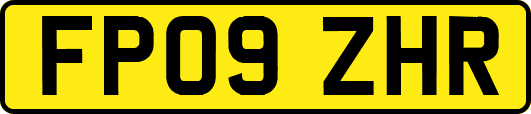 FP09ZHR