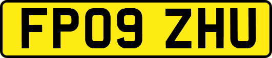 FP09ZHU