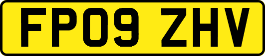 FP09ZHV