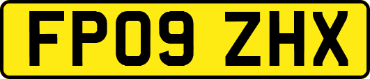FP09ZHX