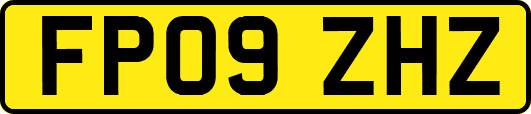 FP09ZHZ