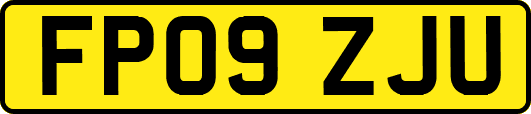 FP09ZJU