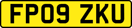 FP09ZKU