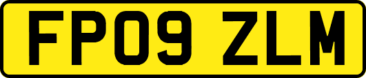FP09ZLM