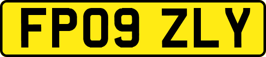 FP09ZLY