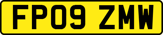 FP09ZMW