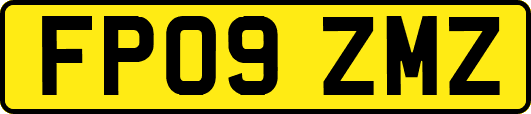 FP09ZMZ