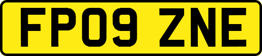 FP09ZNE