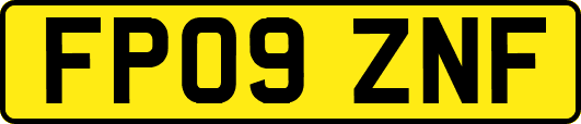 FP09ZNF