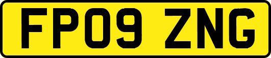 FP09ZNG