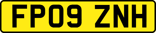 FP09ZNH