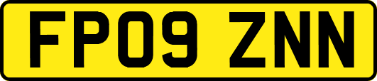 FP09ZNN