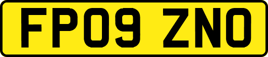 FP09ZNO