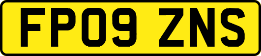 FP09ZNS