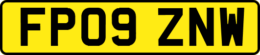 FP09ZNW