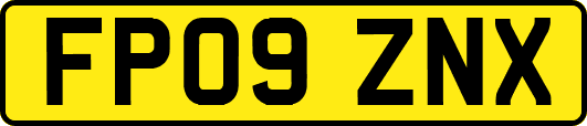 FP09ZNX