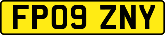 FP09ZNY