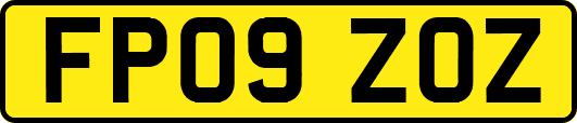 FP09ZOZ