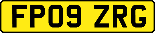 FP09ZRG