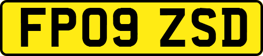 FP09ZSD
