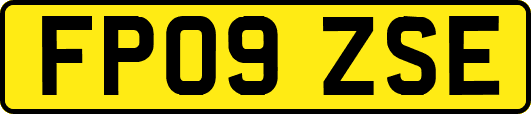FP09ZSE