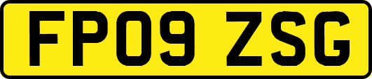 FP09ZSG