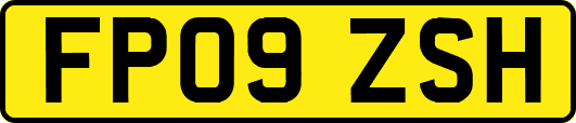 FP09ZSH