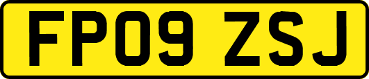 FP09ZSJ