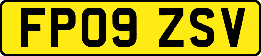 FP09ZSV
