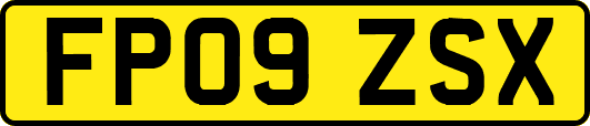 FP09ZSX