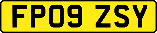 FP09ZSY