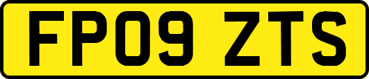 FP09ZTS