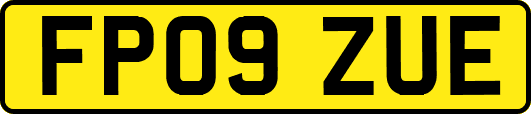 FP09ZUE