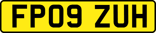 FP09ZUH