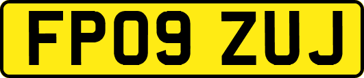 FP09ZUJ