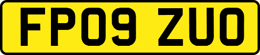 FP09ZUO