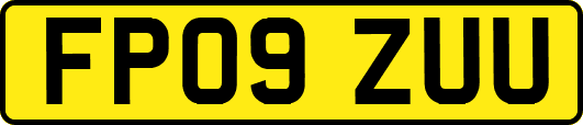 FP09ZUU