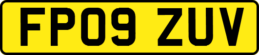FP09ZUV