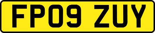 FP09ZUY