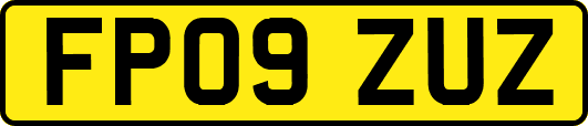 FP09ZUZ