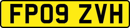 FP09ZVH