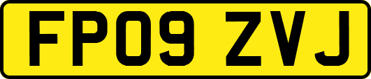 FP09ZVJ