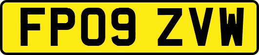 FP09ZVW